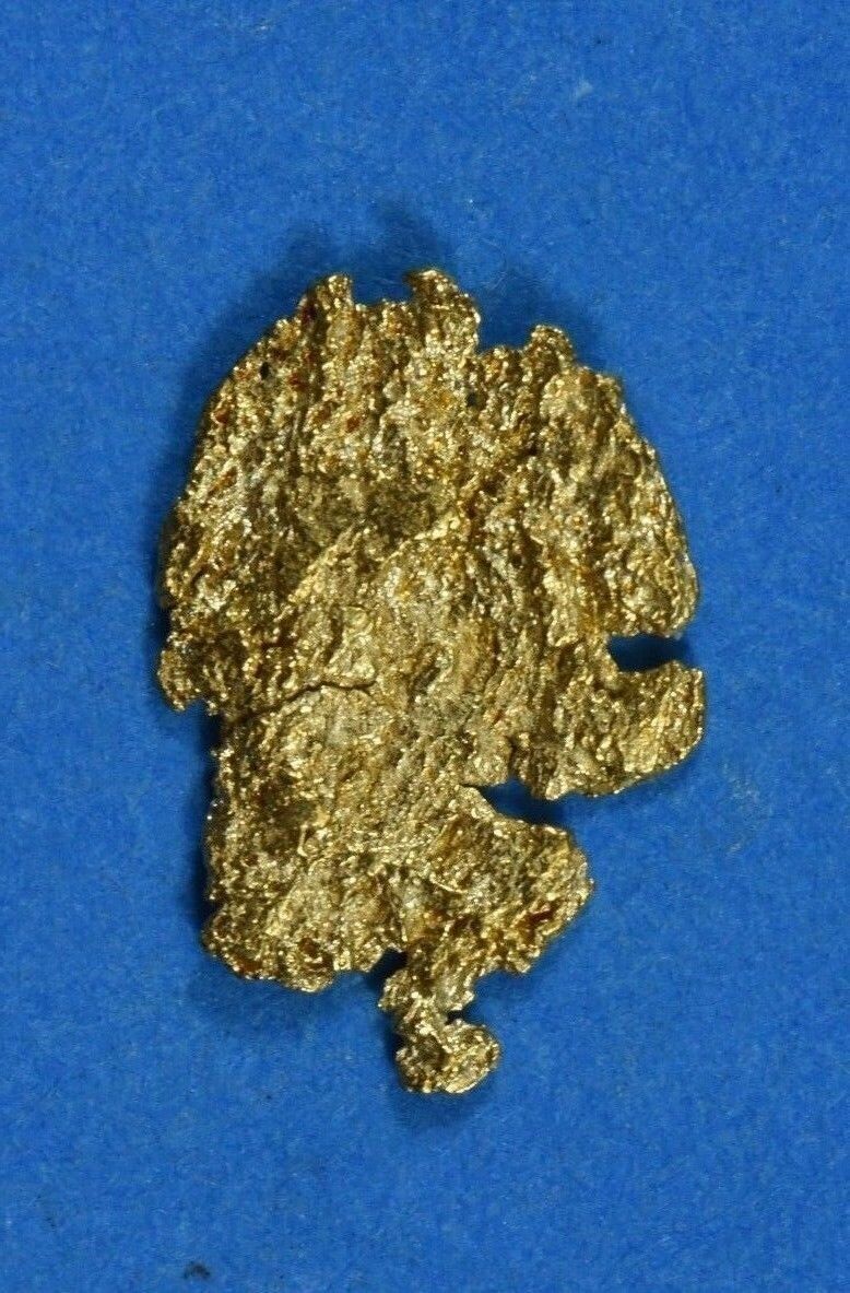 Alaskan-Yukon BC Gold 【500円引きクーポン】 おトク Rush Natural Genuin Grams Nugget 0.28