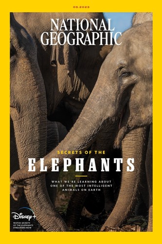 National Geographic Magazine May 2023 Secrets of The Elephants - Picture 2 of 5