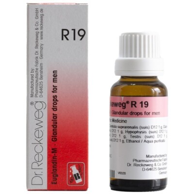Dr. Reckeweg R19 Homeopathic Drops 22ml Glandular Support for Men 1 BOTTLE