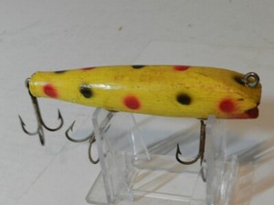 Creek chub Darter | eBay