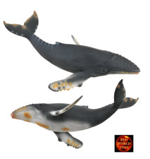 Humpback Whale Sealife Toy Model Figure by CollectA 88347 Brand New