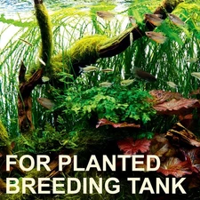 Shrimp Safe All In One Natural Liquid Fertilizer | Breeding Planted Tanks