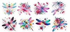 Colorful Dragonfly Wall Decals  Lovely Insect Theme Window Clings Vinyl Re