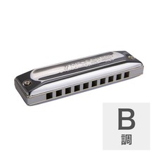 Hohner Meister Klasse MS 580/20 B 10 hole harmonica