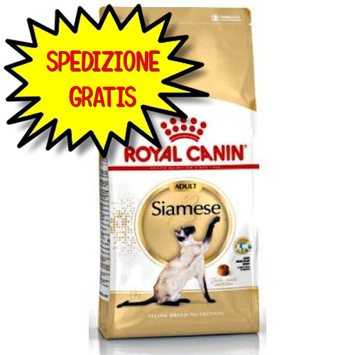 Cibo Gatto Siamese Royal Canin Adult 2kg: Eleganza in Ogni Morso