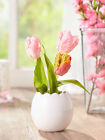 Bild 7 von 7