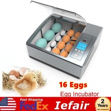   16 Eggs Egg Incubator for Hatching Egg Full Automatic Turning Duck Chicken Egg
