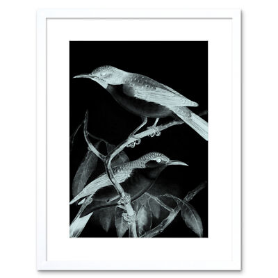 Vögel Illustration Nacht Kunstdruck gerahmtes Poster Wanddeko