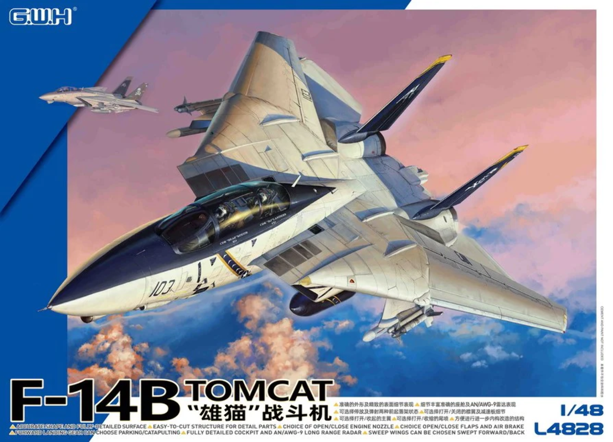 TAMIYA F-35B & GWH F-14B セット