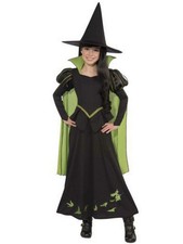 Wicked Witch Girl's Dress Costume