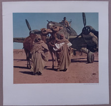 Messerschmitt Bf-110 Afrika Gro&szlig;es Plakat 1943 Luftwaffe Kamel DAK Rommel
