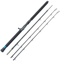 Eisele Bootsrute Two In One 2,1M 20-30/30-40Lbs Multirolle - Rute, Meeresrute