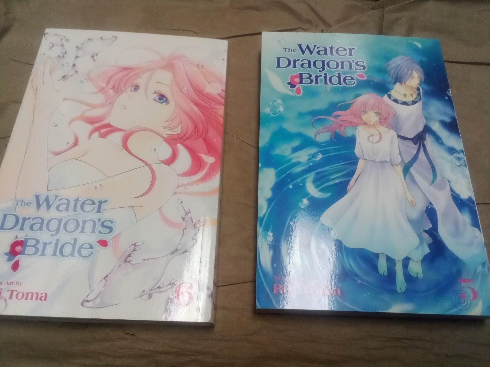 The Water Dragon's Bride vol. 5 and 6 English Manga Graphic Novel | eBay