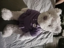 F.A.O. SCHWARZ ~ Purple Plush Girl Teddy BEAR ~ for TOYS 'R' US w. Tags~ 2015