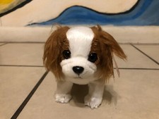Ty Beanie Baby - REGAL the King Charles Spaniel Dog 6 Inch MINT with MINT TAGS