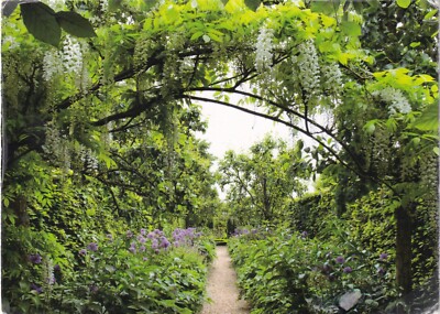 CLINTON LODGE GARDENS ~ BEFIEDERUNG ~ EAST SUSSEX ~ GEBRAUCHT ~ POSTDATUM AUF KARTE 2016