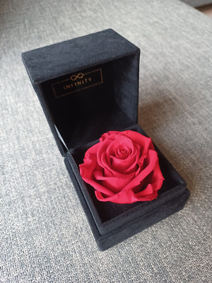 Rose - INFINITY Single Velvet Flowerbox 
