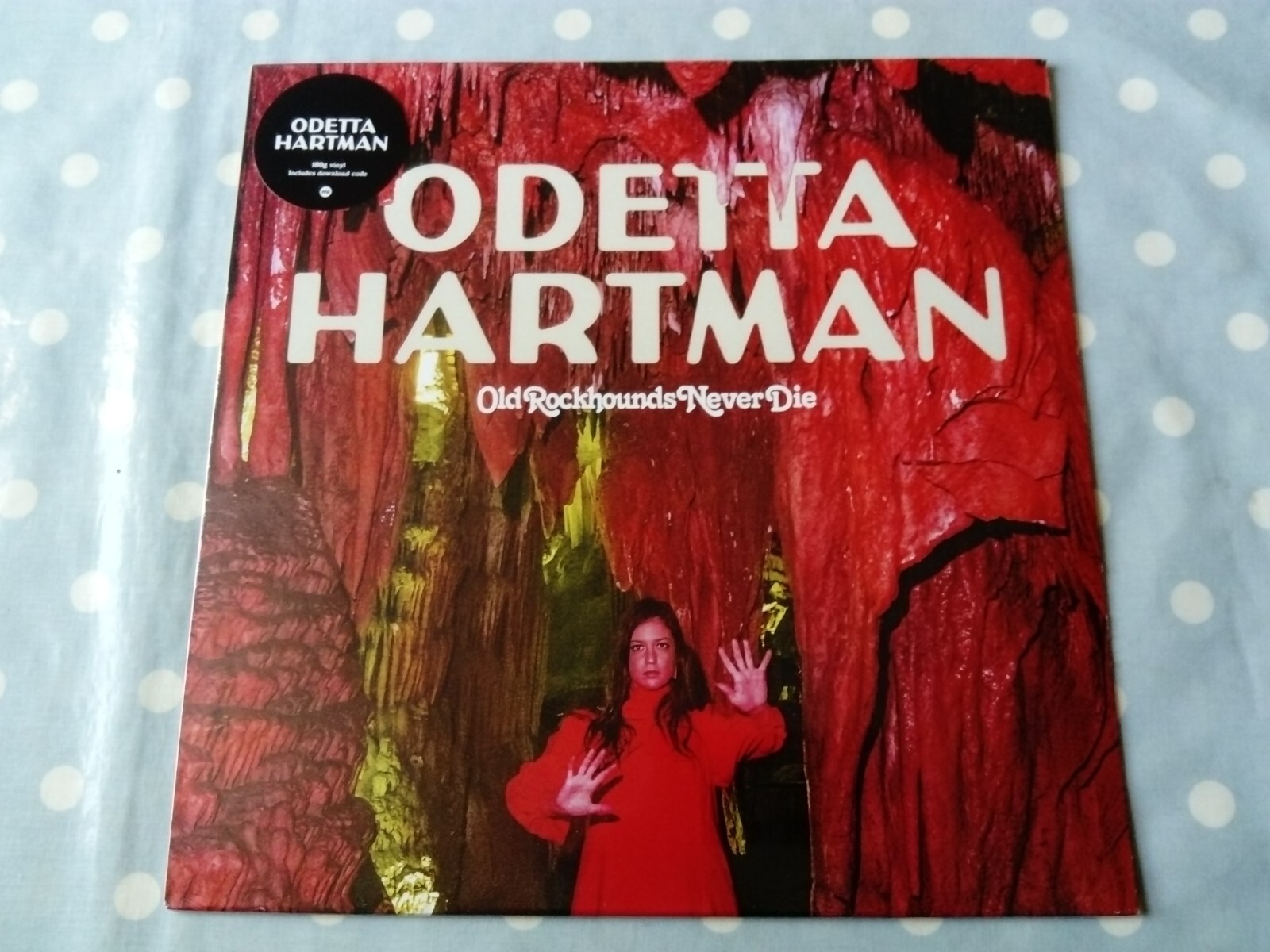 Odetta Hartman Old Rockhounds Never Die Vinyl LP (Memphis Industries/Sealed)