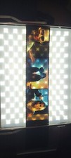 JOKER: Folie a Deux IMAX 70mm Collectible Film Strip