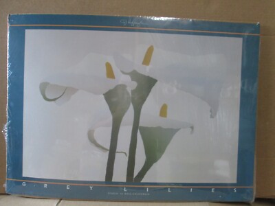 Grey Lily Carol Hoffnagle 1985  litho vintage poster studio 12 Ross inv#7686