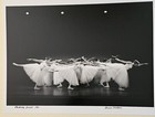 Photo of Eglevsky Ballet Co. Performing. Matting 16" X 20" ~ Photo 11" X 14". — photo 1