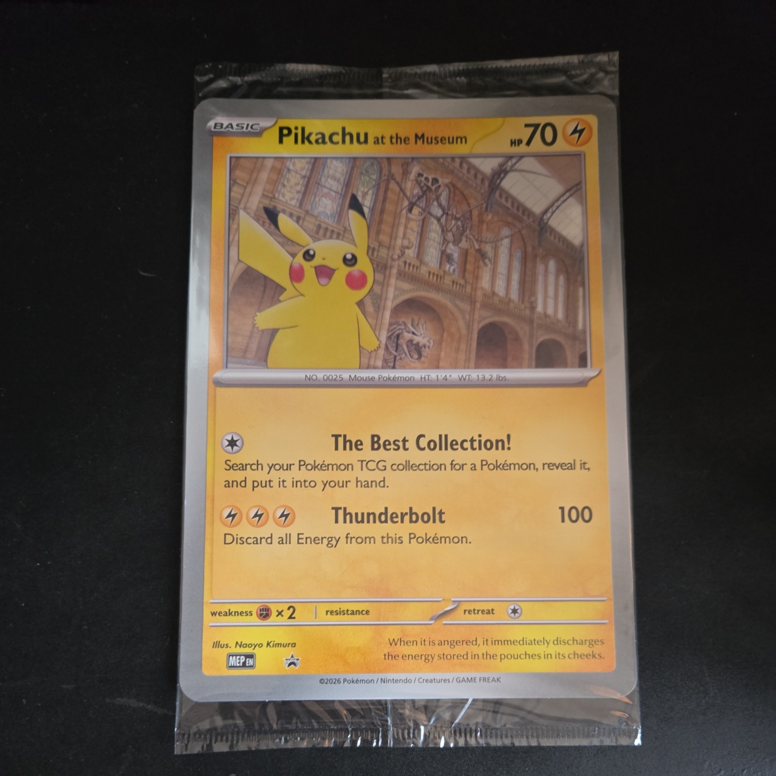  Pokemon Pikachu at the Natural History Museum Sealed Jumbo Promo SVP