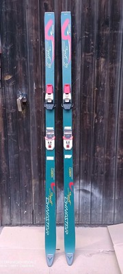 CARBON DYNASTAR SPORTSKI