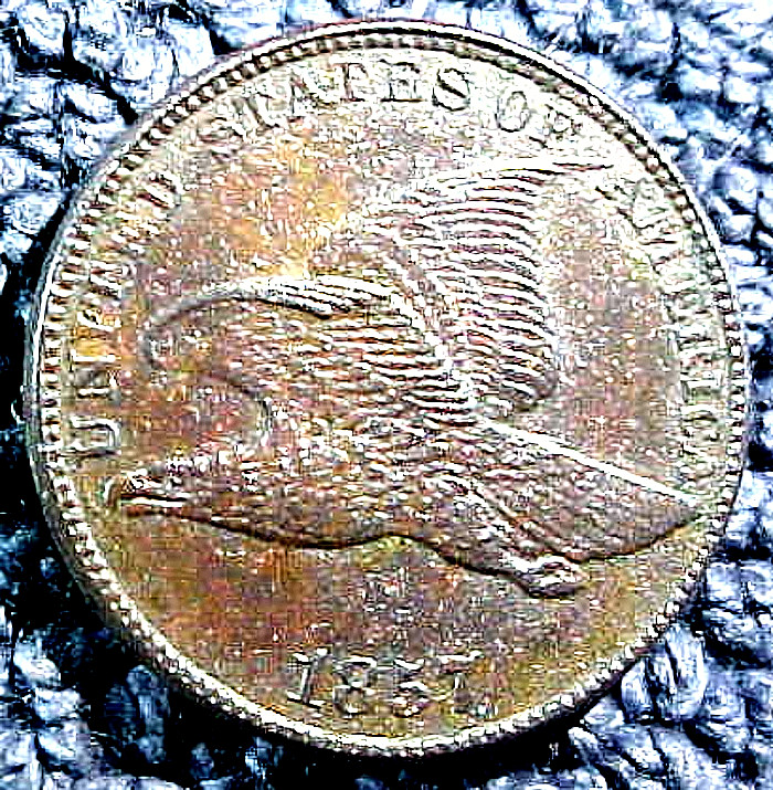 1857 FLYING EAGLE CENT...DARK...MIN. BID .01 & NO RESERVE!