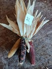 Mini Indian Corn, Approx 5" Long -  Thanksgiving, Fall, Decor, Small      #21