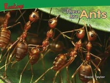 Ants (Bugs!) by Trace Taylor