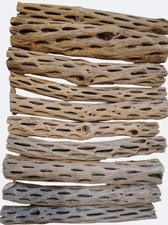 10 9" Cholla Wood Sticks Prewashed Aquarium Terrarium Crafts