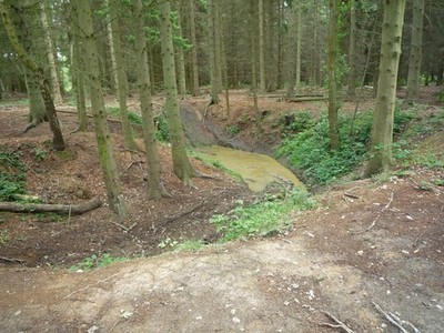 Foto A2 Loch im Wald Cholesbury Die Wälder hier sind pockmarkiert mit c2010