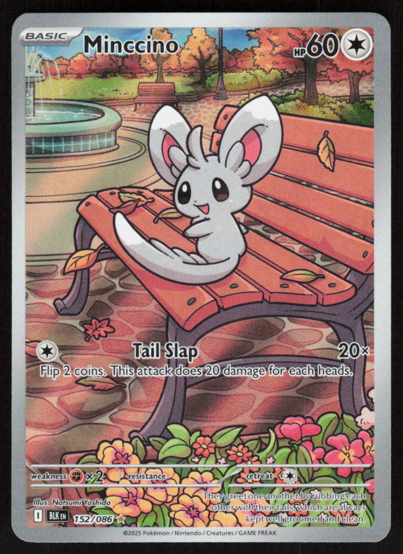 Minccino 152/086 SV: Black Bolt 2025