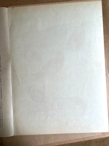 orientalischer Druck des Ostkreuzscheins im Originalordner mit Infoblatt - Bild 9 von 10