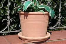 Tontopf Terrakotta pflanztopf  ca 28 cm d. mit 25 cm Unterteller