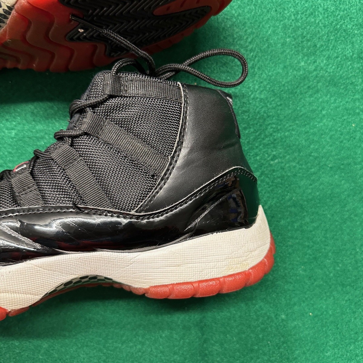 2010 bred 11