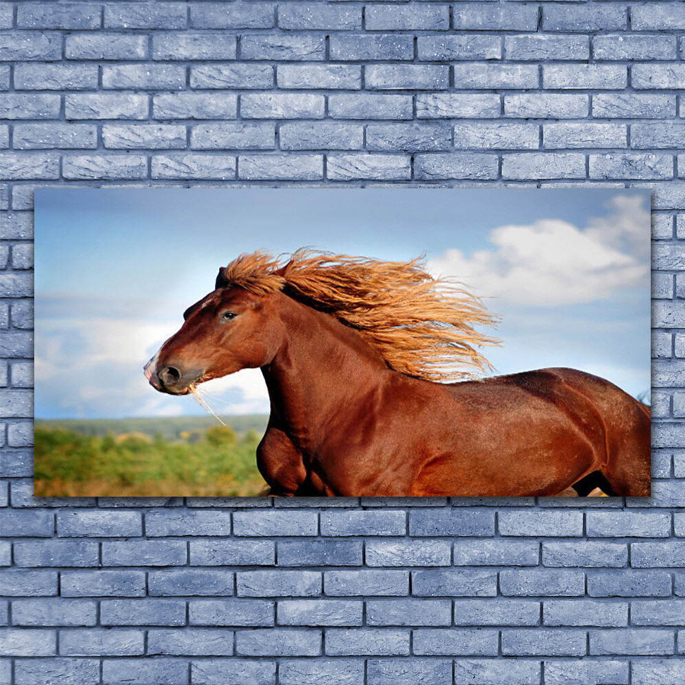 Tableau animaux cheval en Plexiglas 140x70 pour salon moderne