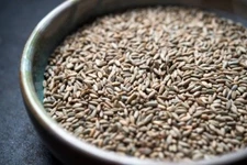 5lb Organic Cereal Rye Whole Grain Berries Clean Top Quality Untreated 