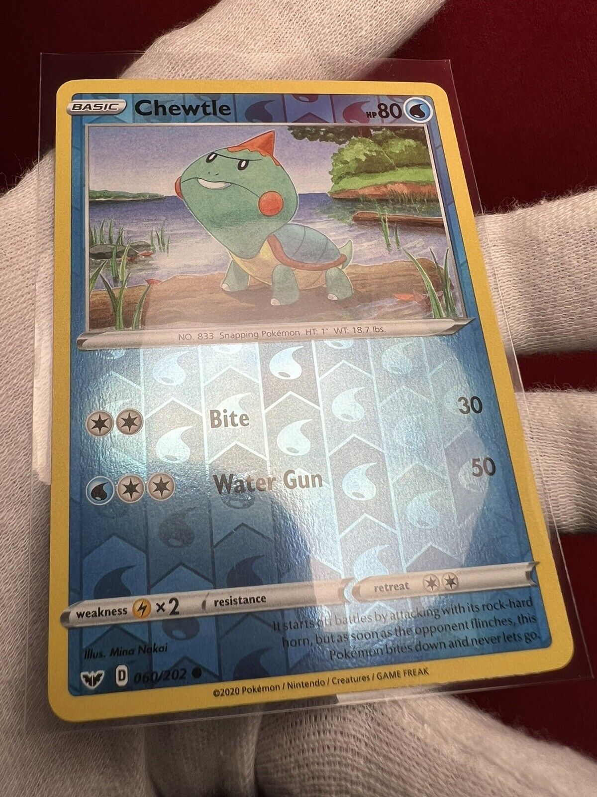 Chewtle 60/202 NM in Portuguese Sword & Shield Pokémon TCG