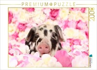 Calvendo Puzzle Turopolje Ferkel | 2000 Teile Lege-GrößE 90 × 67 Cm Foto-Puzzle
