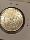 1884-O  UNCIRCULATED GEM BU+  Creamy white  CRAZY LUSTROUS OUTSTANDING UNC COIN — photo 10