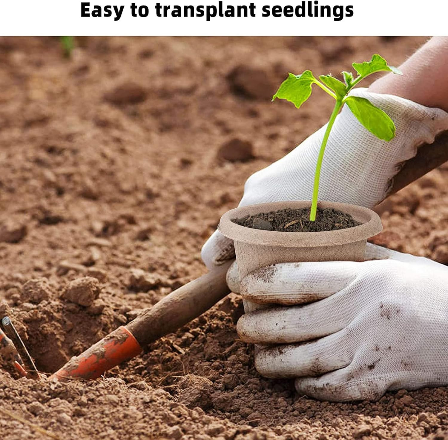 30 Pcs Peat Pots for Seedlings, 4.33 inch Biodegradable Seed Nursery Pot with...