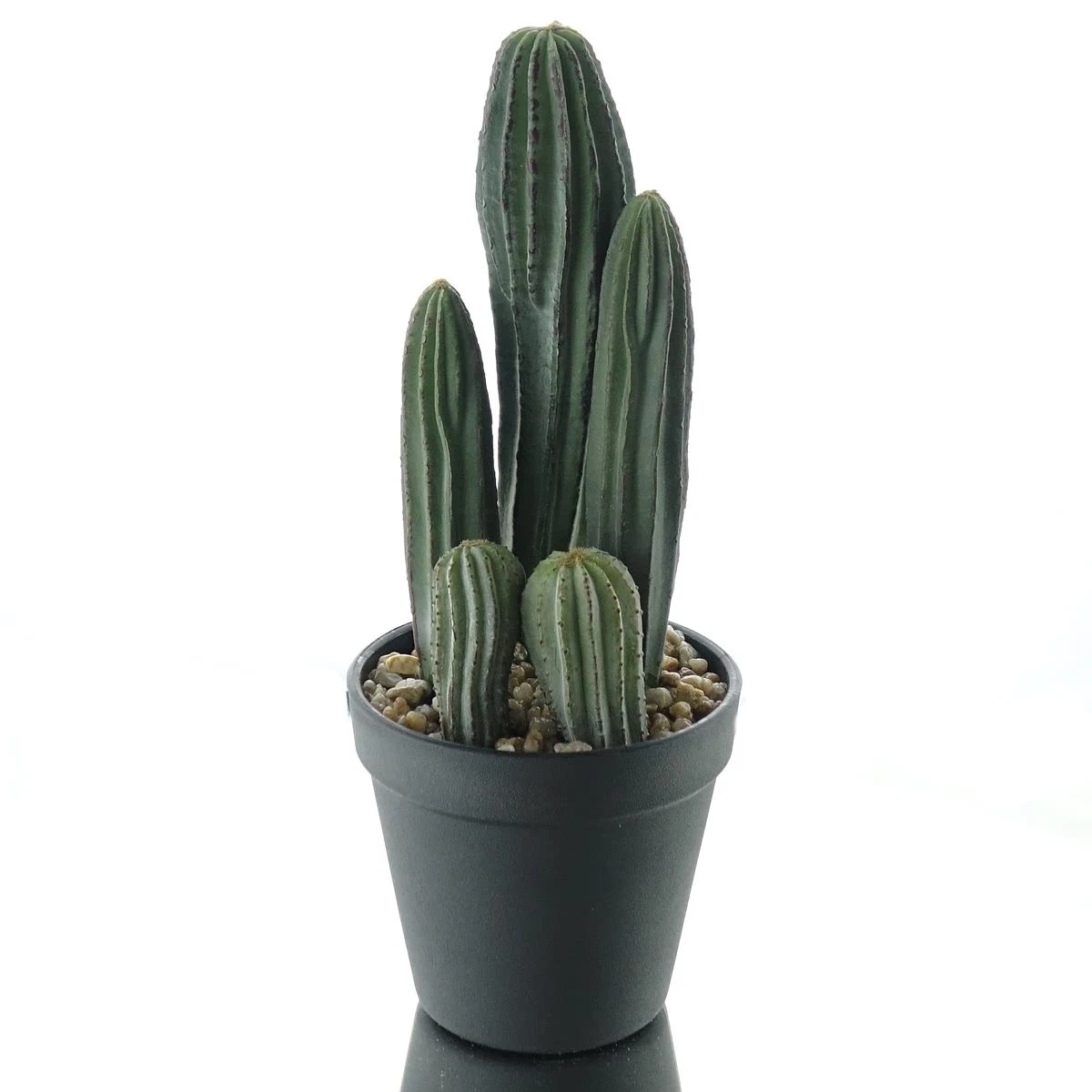 Kaktus Dekoblumen & knstliche Pflanzen aus Kunststoff online kaufen |  eBay.de