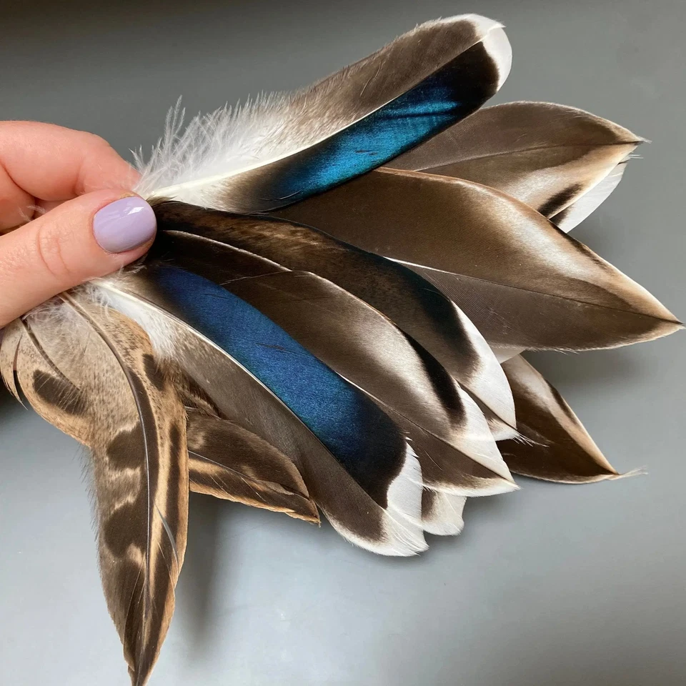 50/100PCS Wild Duck Feathers Craft Pheasant Plume Handicraft Hot Comfort Decor - Image 3 of 4