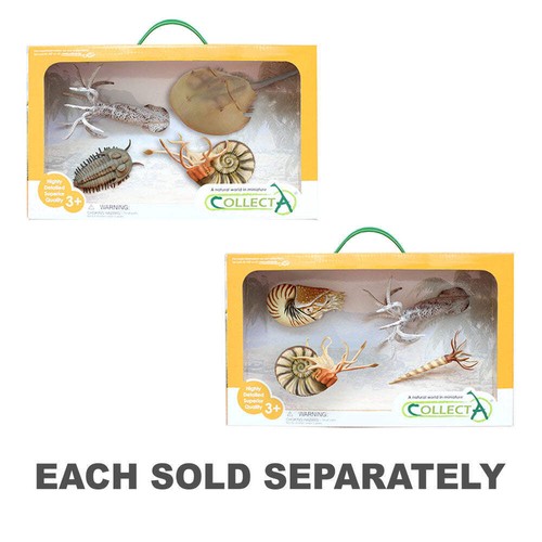 CollezionaUn set regalo di creature marine preistoriche, confezione da