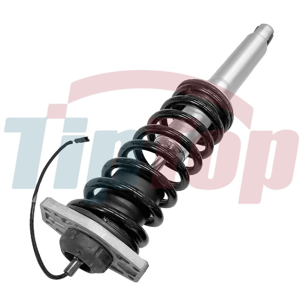 Maserati GranTurismo 2013-2018 Rear Left, right Strut assemblies Pair P/N 286946