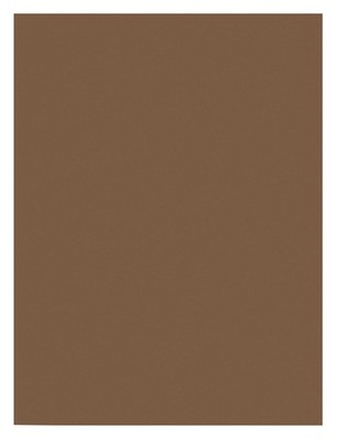 100 Sheets Construction Paper 9 X 12 Brown, Art Supplies, Arts and crafts