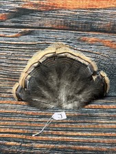 Mini Wild turkey Tail feathers plume art fan Bustle Fly Tying Craft Mount Voodoo