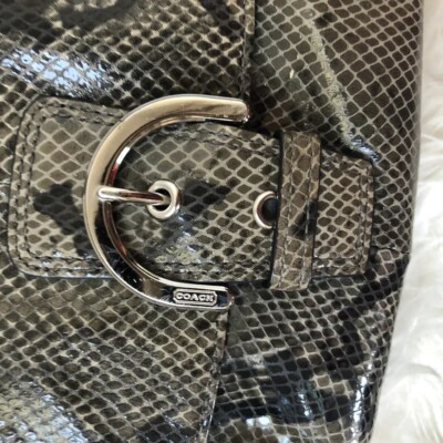 COACH Soho Snake Python Print Mini Crossbody Bag | eBay