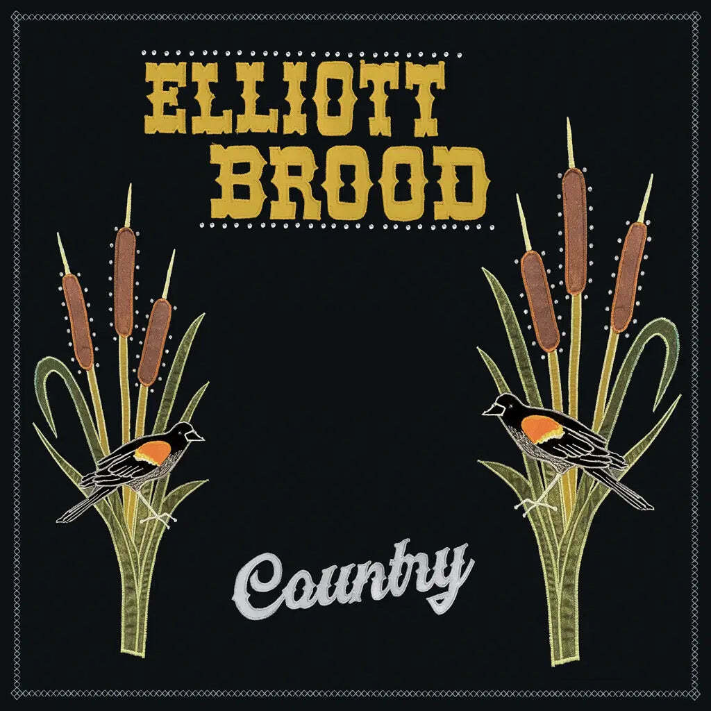 Elliott Brood - Новый винил в стиле кантри